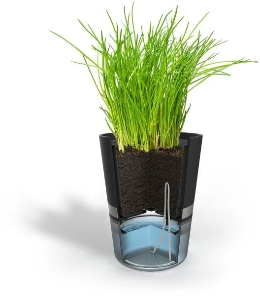 GEFU Kräutertopf BOTANICO 5 GEFU Kräutertopf BOTANICO – Bild 3