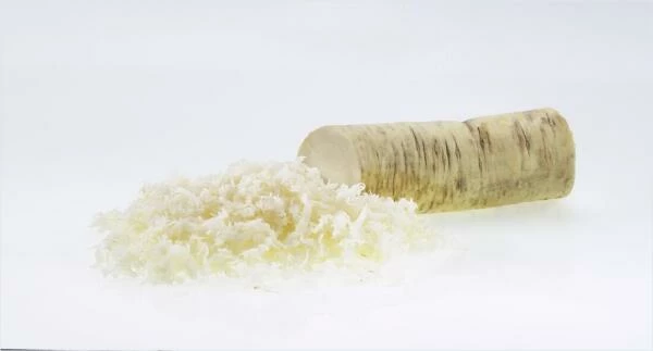 Lurch Reibe Mittel TANGO RT34 6 Lurch Reibe Mittel TANGO RT34 – Bild 4