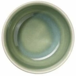 ASA Schale Saisons Agave, 9 Cm