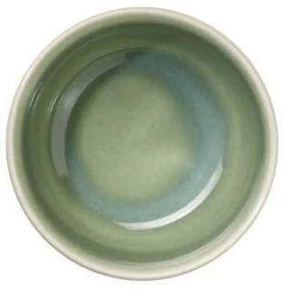 ASA Schale Saisons Agave, 9 Cm 3 ASA Schale Saisons Agave, 9 Cm